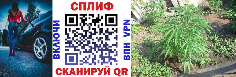Шишки марихуана Amnesia  Вязники 